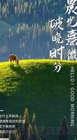 麻豆传媒沈-麻豆传媒沈，光影背后的故事