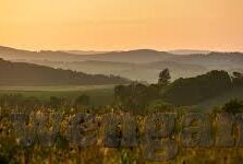 麻豆文化传媒精品1区2区3区-探寻麻豆文化传媒精品区域的独特魅力，一、二、三区深度剖析
